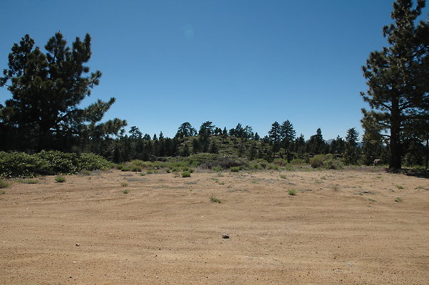 DSC 0074