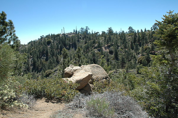 DSC 0055