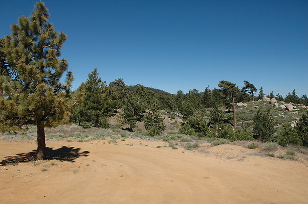 DSC 0038