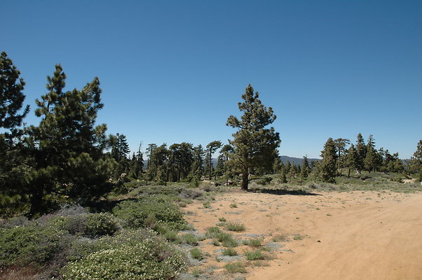 DSC 0045