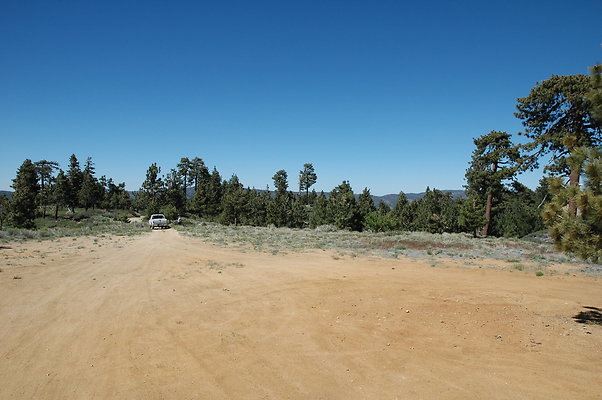 DSC 0040