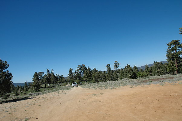DSC 0046