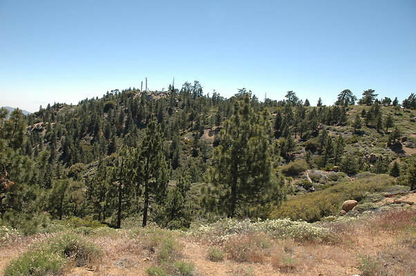 DSC 0043