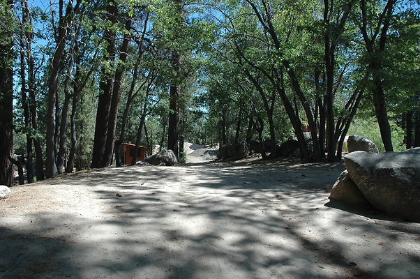 DSC 0069