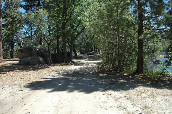DSC 0067