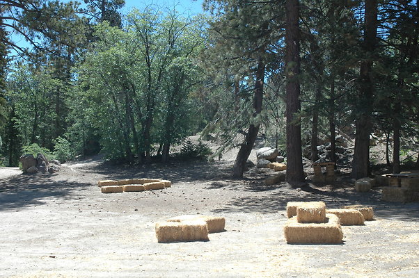 DSC 0062