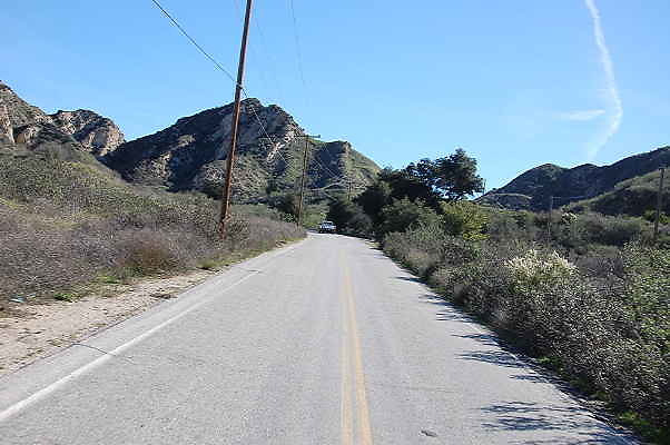 DSC 0253