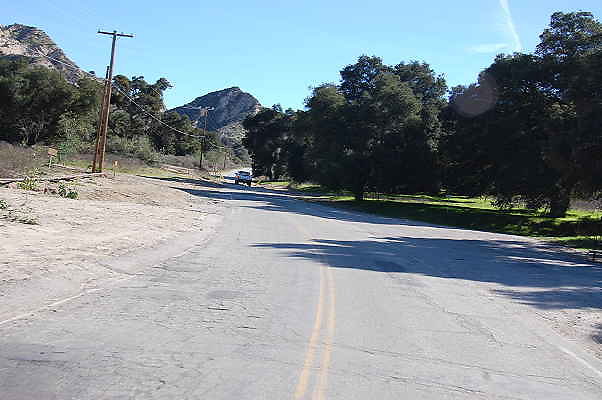 DSC 0245