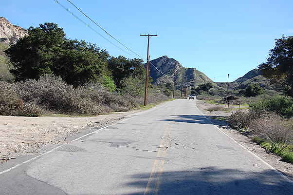 DSC 0248