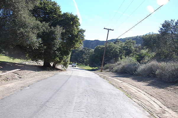 DSC 0242