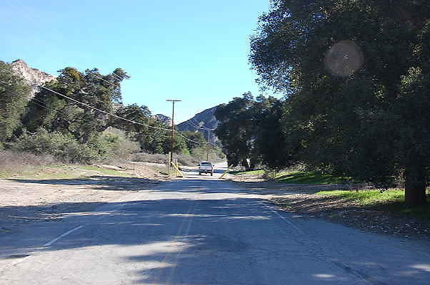 DSC 0246