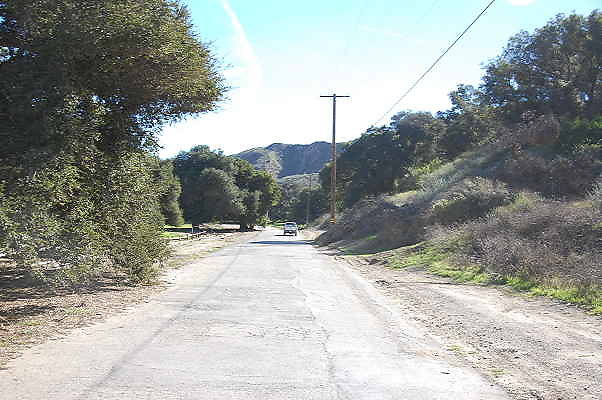 DSC 0241