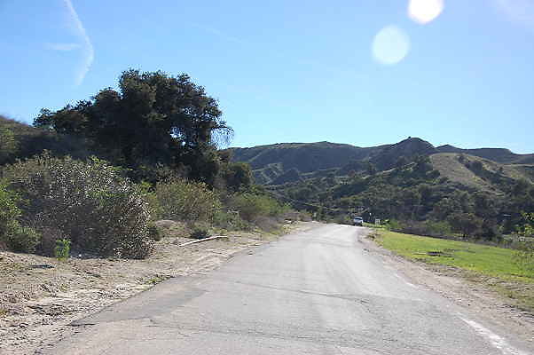 DSC 0235