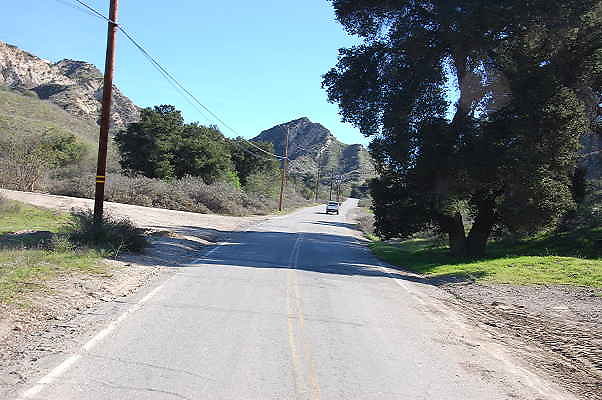 DSC 0247