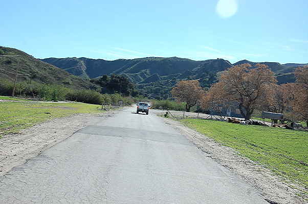 DSC 0215