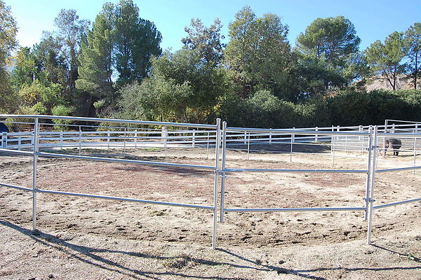 DSC 0092