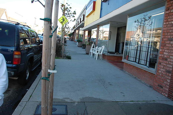 DSC 0060