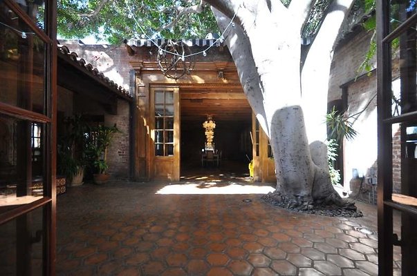 3847 courtyard6