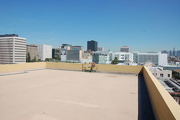 DSC 0260