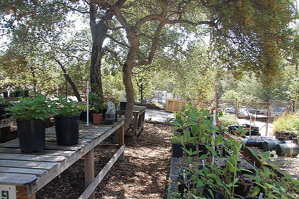 DSC 0136