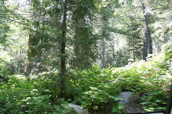 IMG 4145