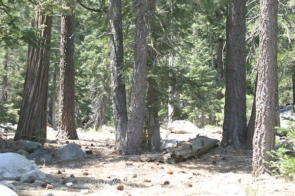 IMG 4143