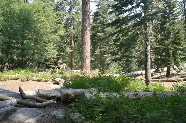 IMG 4095