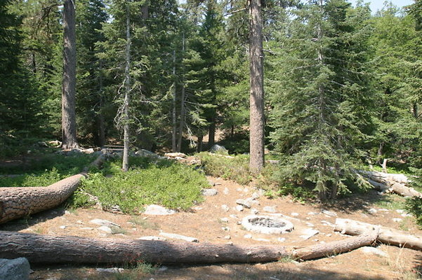 IMG 4089