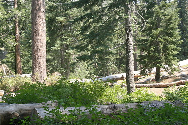 IMG 4096