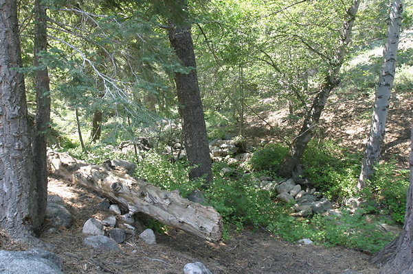 IMG 4098