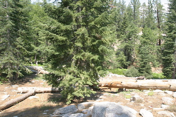 IMG 4090
