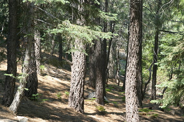 IMG 4119