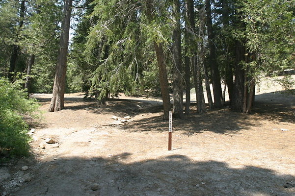 IMG 4110