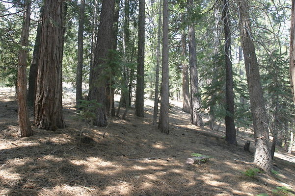 IMG 4116