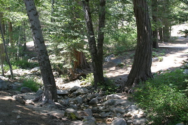 IMG 4199
