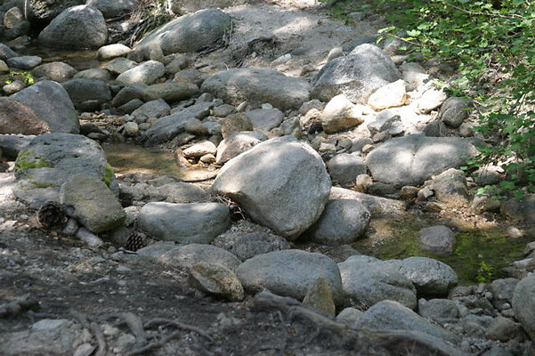 IMG 4201