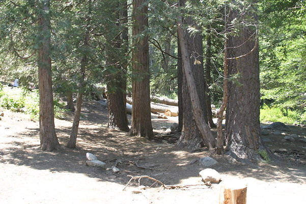 IMG 4195