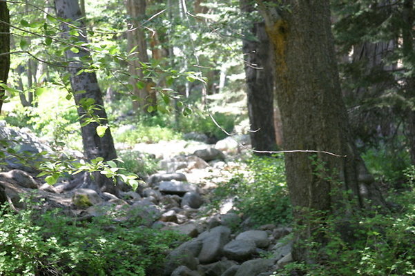 IMG 4193