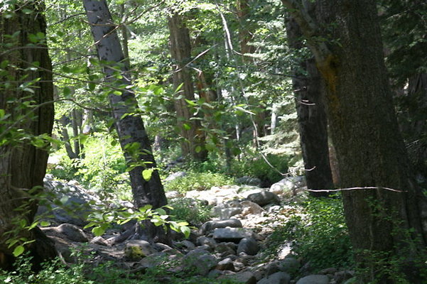 IMG 4191