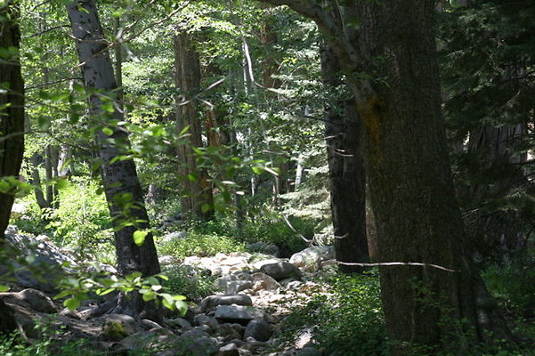 IMG 4192
