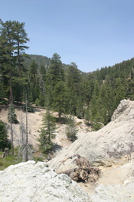 IMG 4217