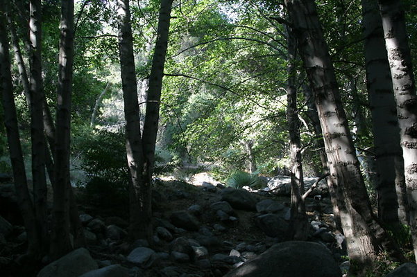 IMG 4473