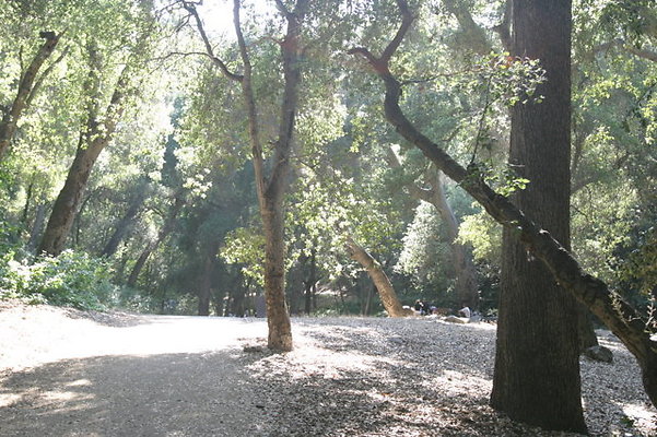 IMG 4447