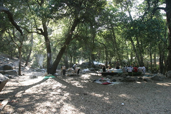 IMG 4488