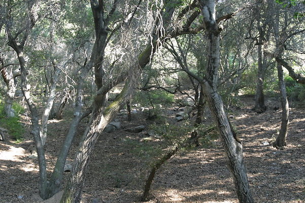 IMG 4493