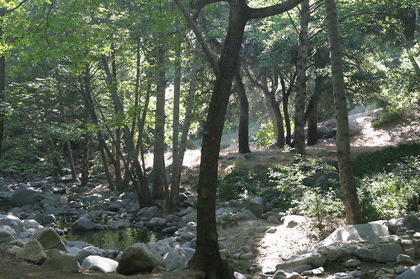 IMG 4457