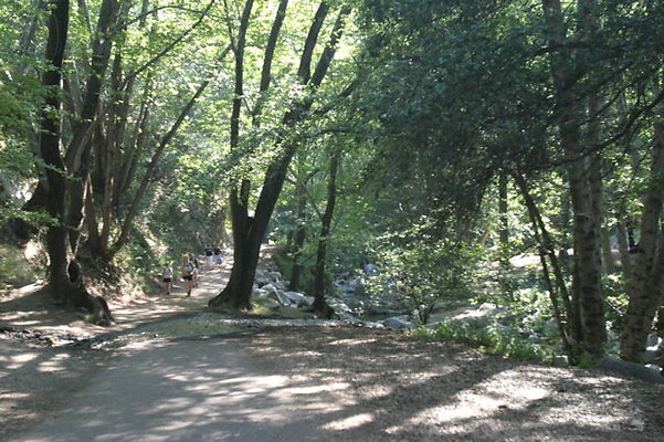 IMG 4454