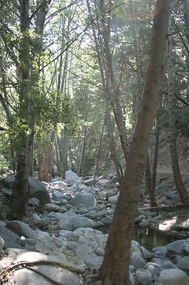 IMG 4474