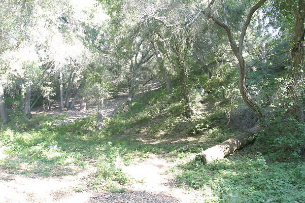 IMG 4451