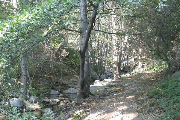 IMG 4498